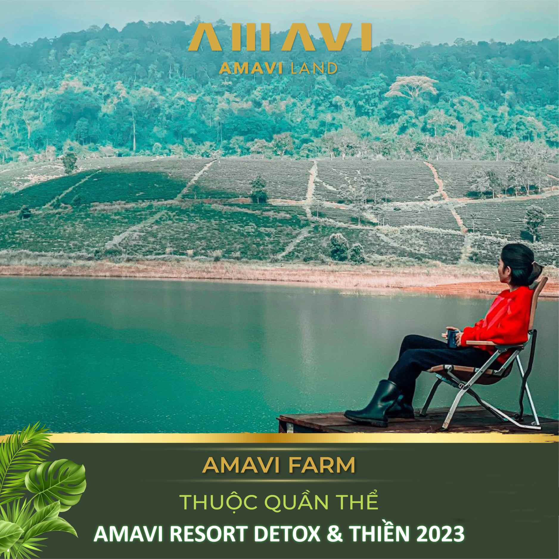 07193134-1-amavi-farm-bao-loc