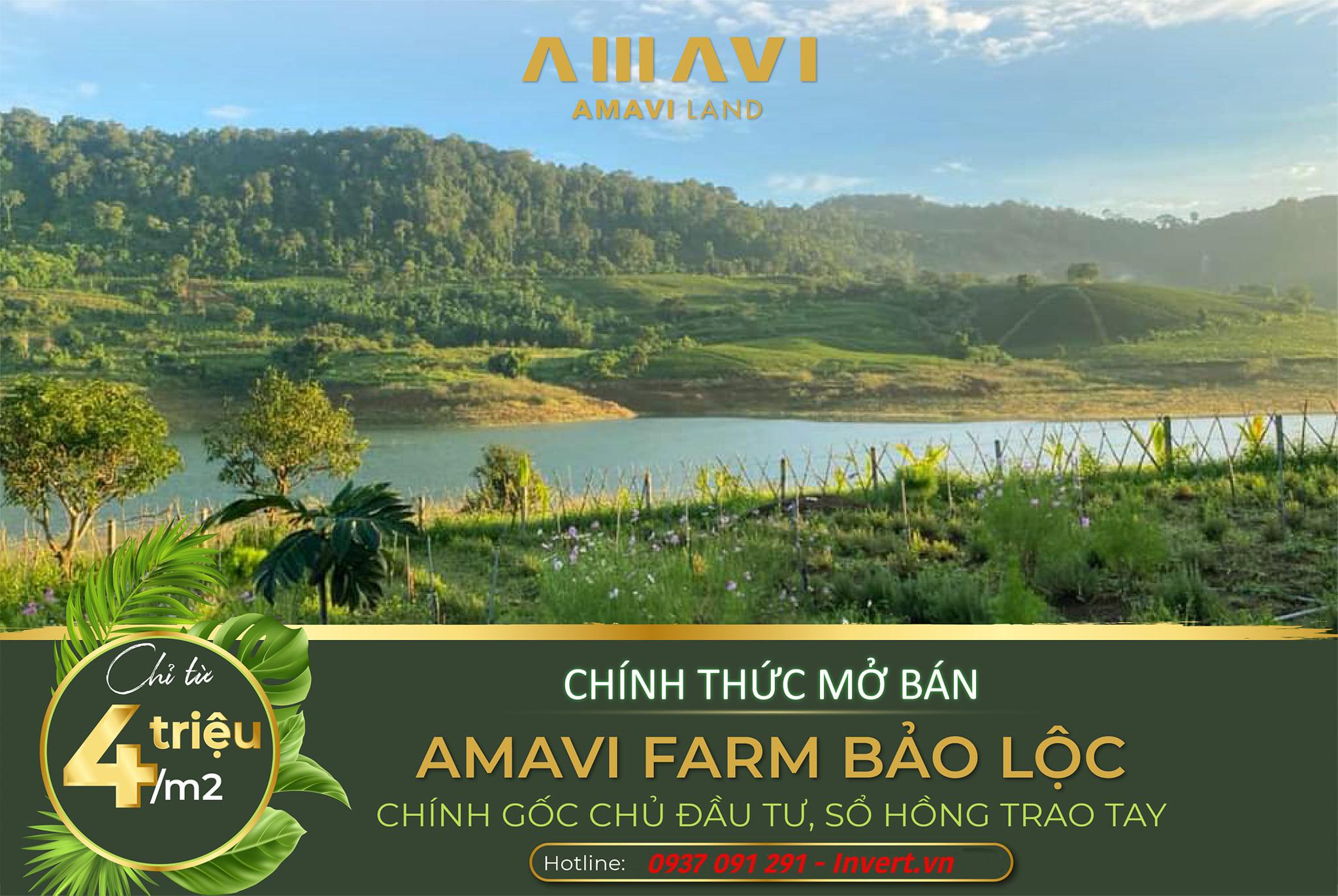 07193203-3-amavi-farm-bao-loc Giá bán Amavi Farm Bảo Lộc chỉ từ 4 triệu/m2