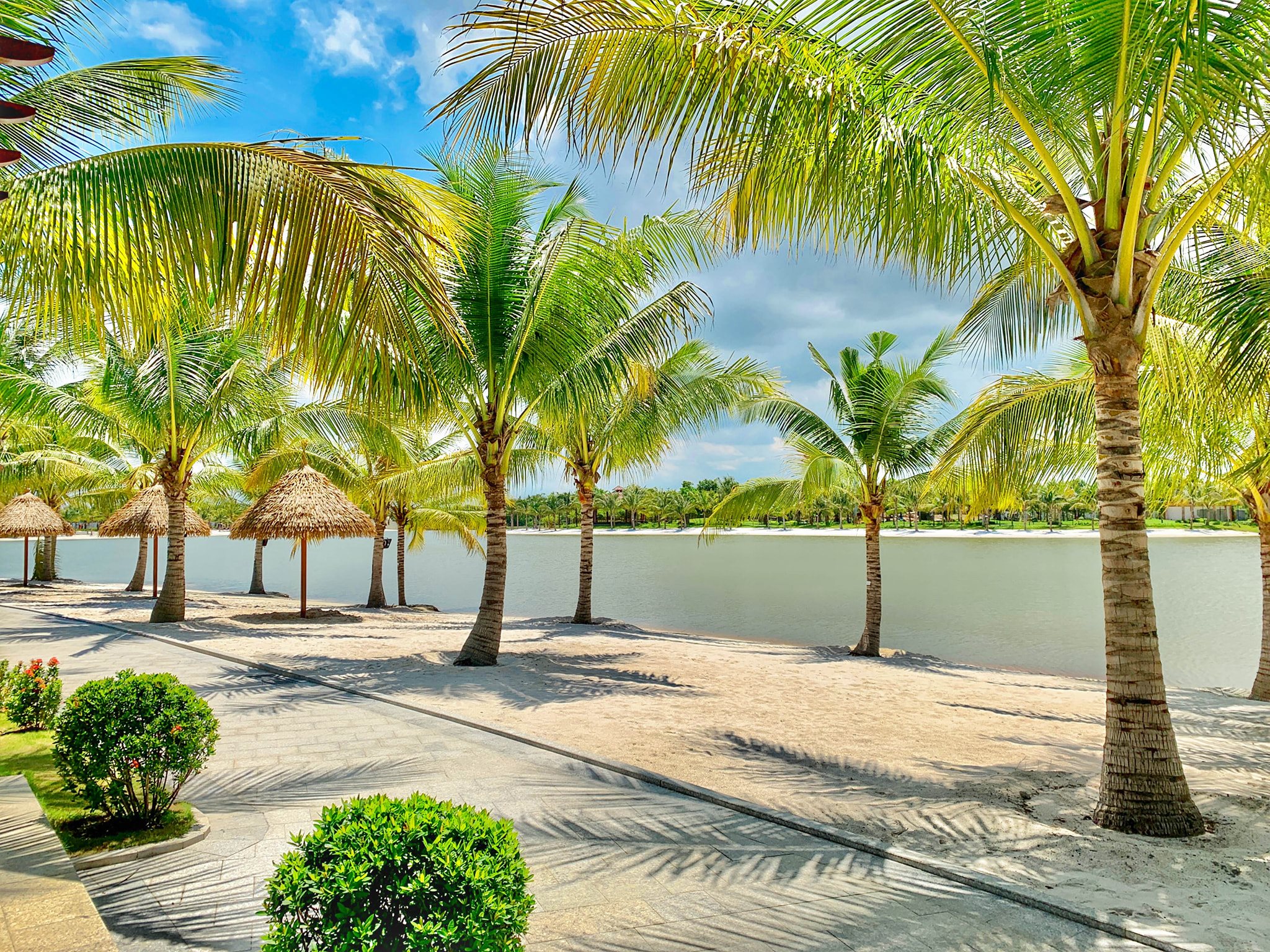 107481717_3225984417462162_5678243116291199376_o