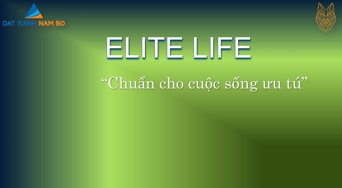 11115740-1-du-an-nha-pho-elite-life-long-an