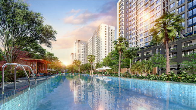 Hô bơi theo tiêu chuẩn Olympic