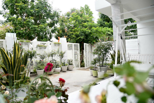 1530780192-977-ldl_3551-1530778054-width650height433