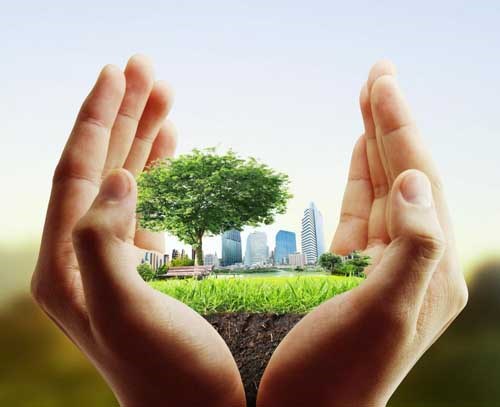 5 cách đơn giản để bắt đầu “sống xanh” ngay từ hôm nay