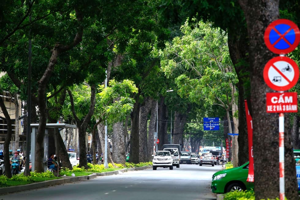 Đường tôn đức thắng xưa