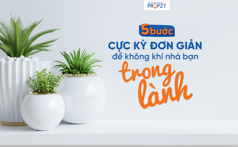 5 bước cực kỳ đơn giản làm sạch không khí nhà bạn trong mùa giãn cách