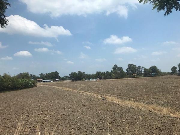 Nhiều lô đất nông nghiệp mới được san lấp đang rao bán rộng rãi cho những nhà đầu tư có nhu cầu