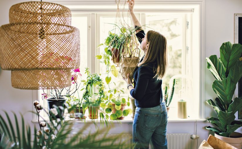 Mẹo mang đến cho ngôi nhà bạn một sự lột xác về tinh thần