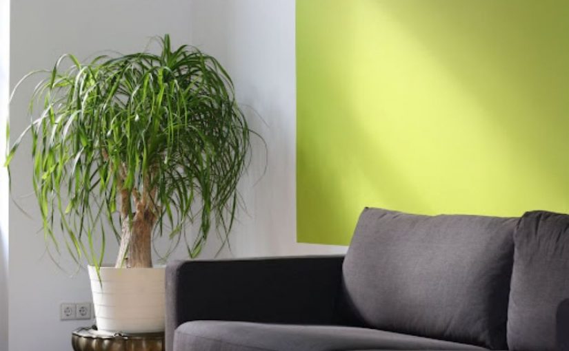 5 lý do vì sao thiên nhiên sẽ truyền cảm hứng cho các xu hướng thiết kế nội thất