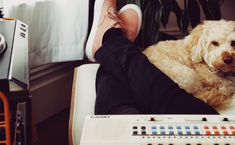 7 mẹo phải biết khi sống trong căn hộ có thú cưng