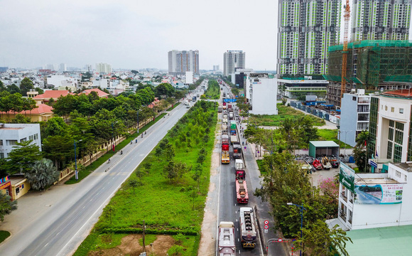 Cay-cau-dao-kim-cuong-hinh-1