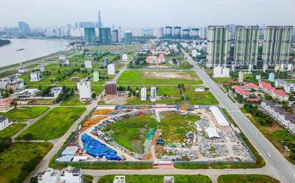 Cay cau dao kim cuong - hinh 10