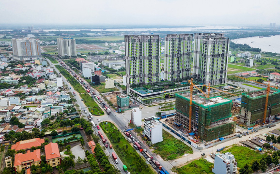 Cay cau dao kim cuong - hinh 2