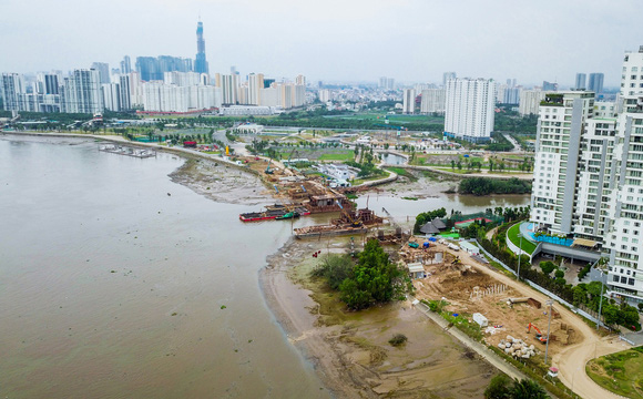 Cay cau dao kim cuong - hinh 3