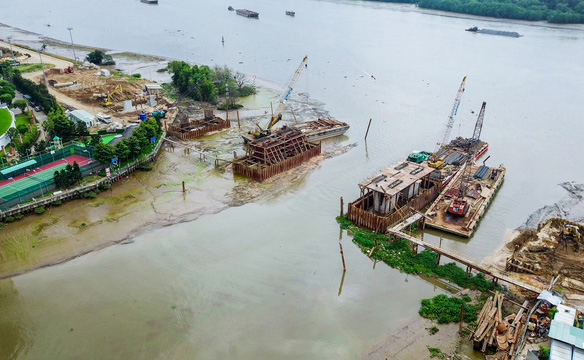 Cay cau dao kim cuong - hinh 4