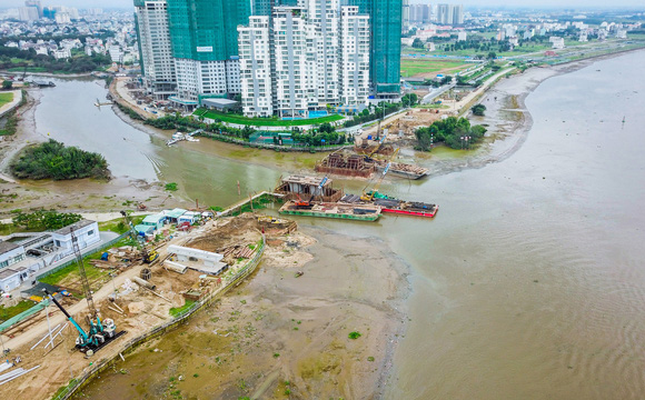 Cay cau dao kim cuong - hinh 5