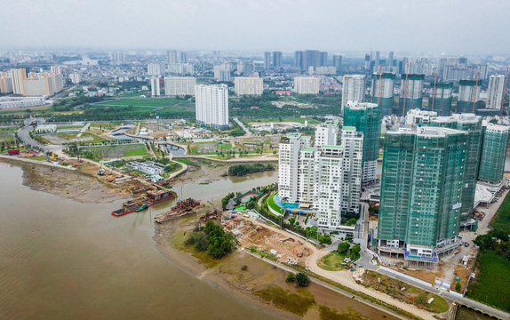 Cay cau dao kim cuong - hinh 7