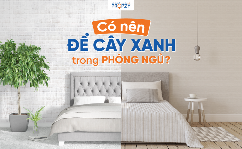 Có nên để cây xanh trong phòng ngủ không?