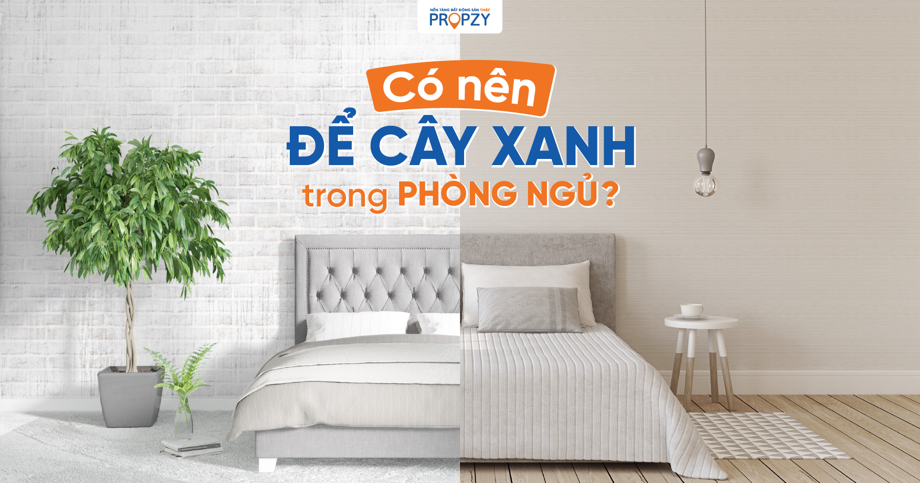 Có nên để cây xanh trong phòng ngủ không?