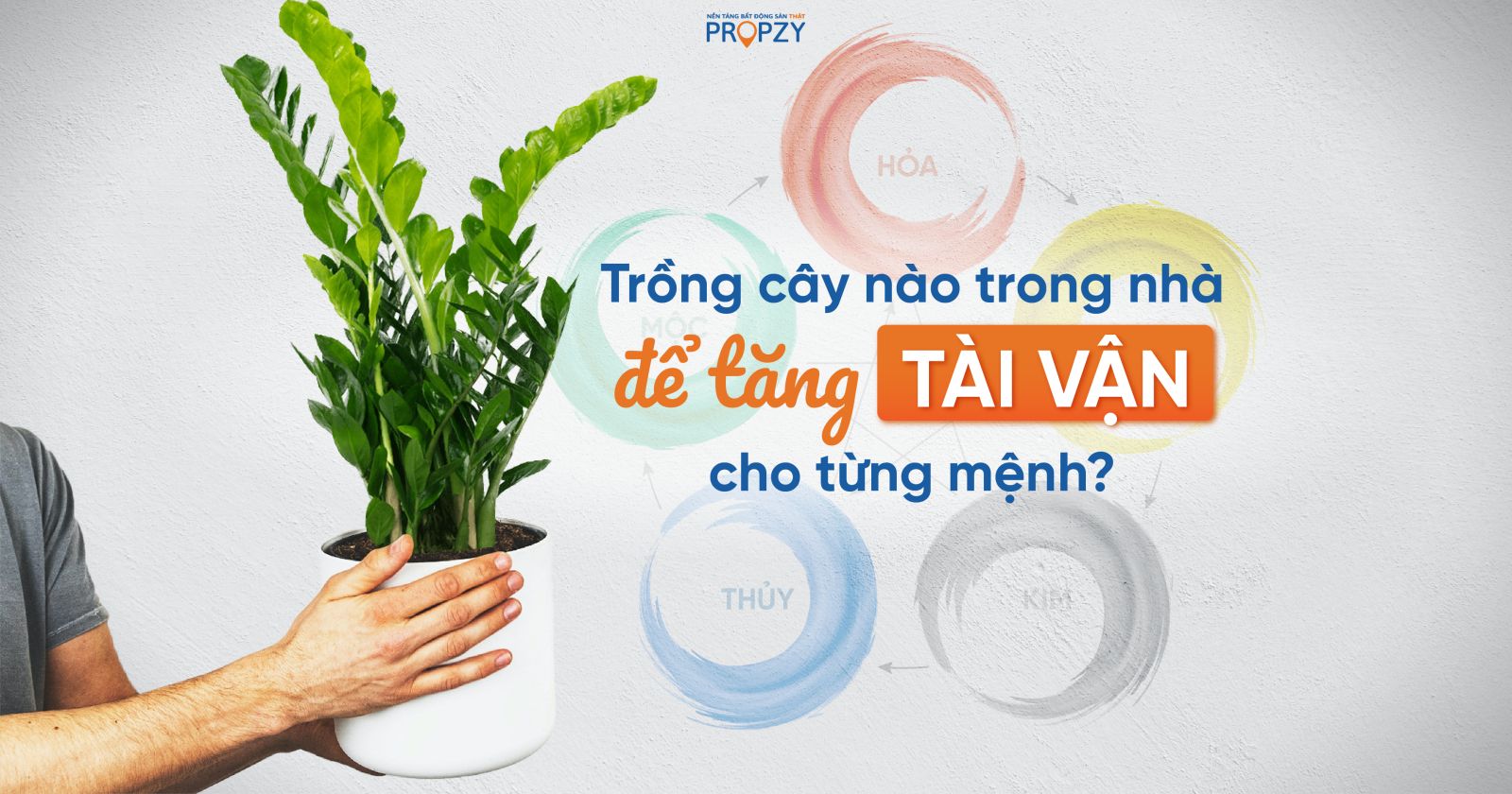 cc3a2y Trồng cây nào trong nhà để tăng tài vận cho từng mệnh?