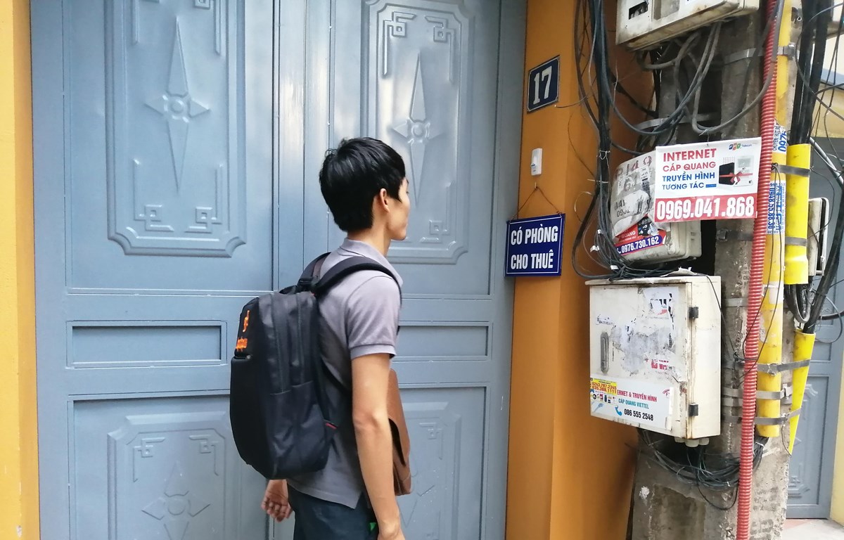 hop dong thue nha tro