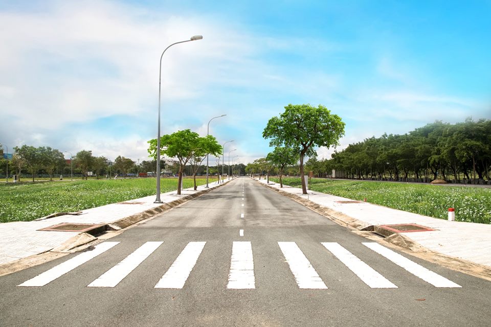 cơn sốt đất nền