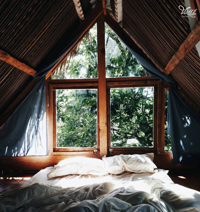 cui-homestay-da-lat-vietliketravel-680