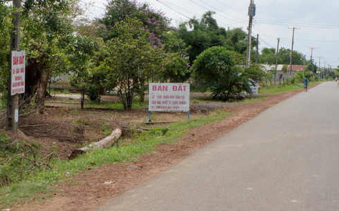 dat_san_bay_long_thanh_ywzj