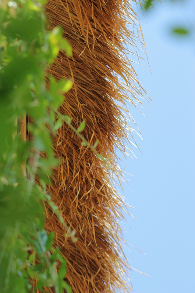 doc-dao-ngoi-nha-mang-phong-cach-thon-que-hien-dien-trong-long-pho-thi-10