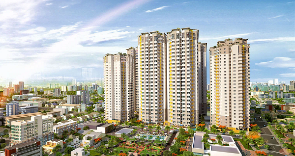 du-an-him-lam-cho-lon-quan-6-04