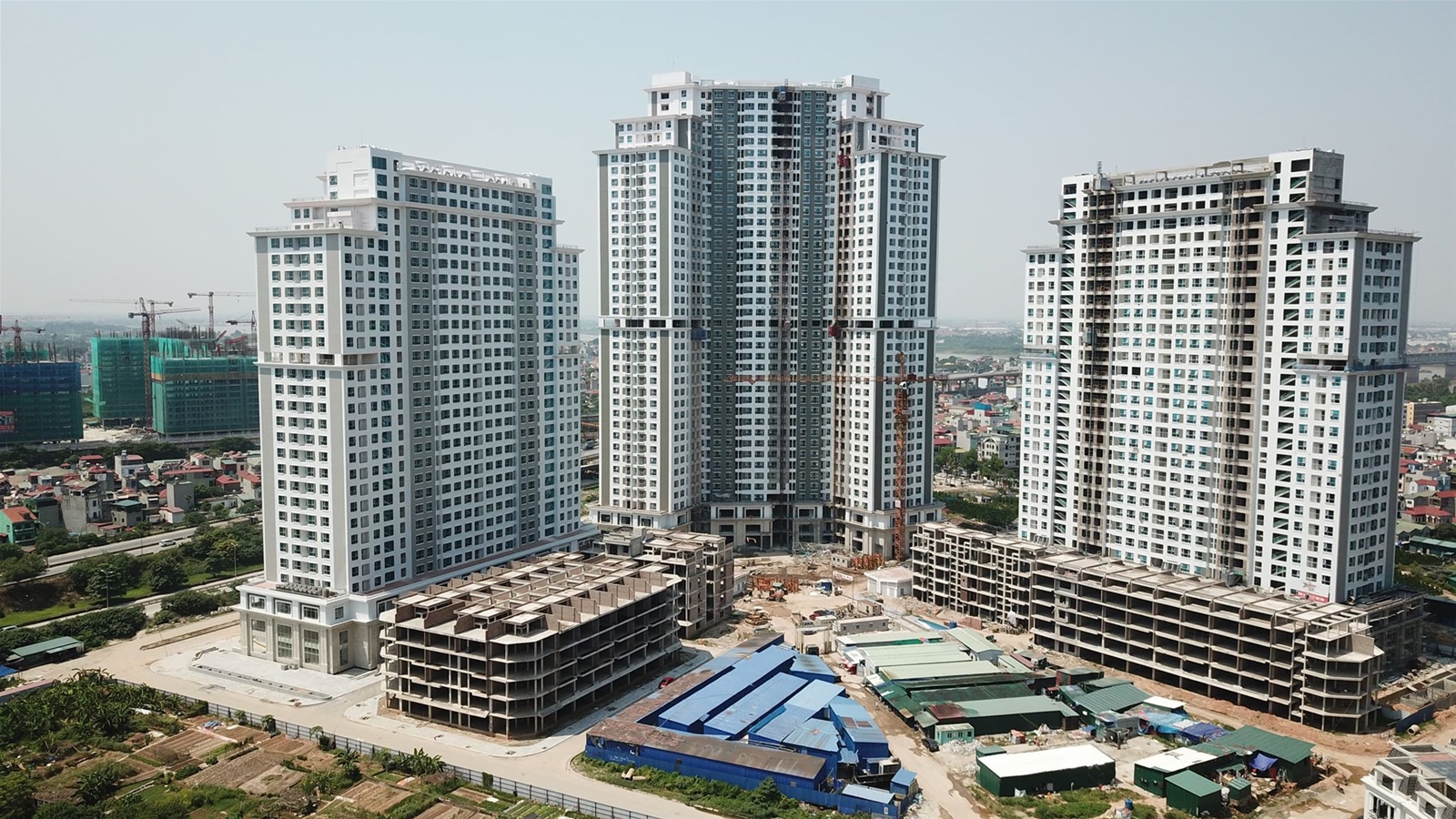 du-bao-can-ho-chung-cu-gia-re-len-ngoi