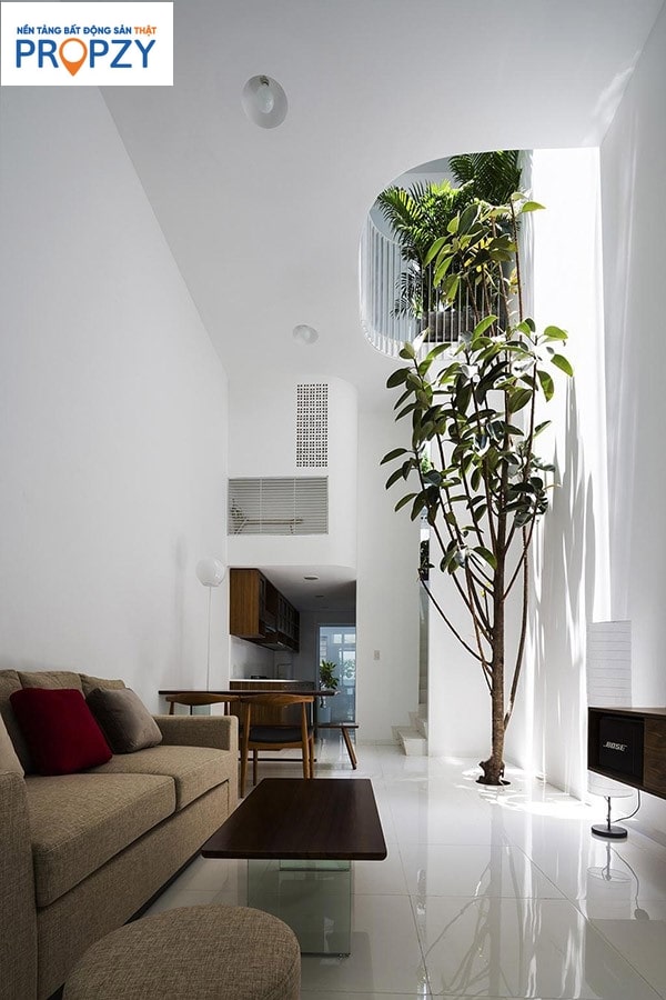 Kiểu thiết kế giếng trời sang trọng với không gian xanh