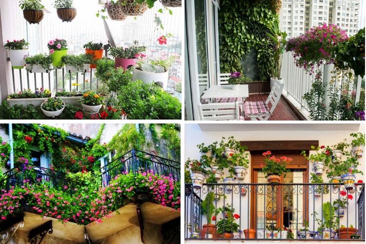 goi-ten-cac-loai-hoa-de-trong-o-ban-cong-leo-gian-xanh-quanh-nam-1 Các loại hoa dễ trồng ở ban công