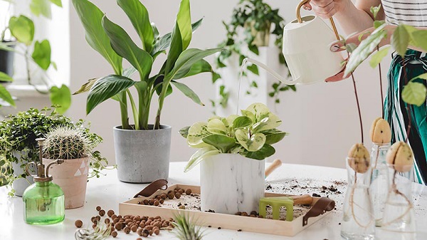 hoa-giai-diem-xau-can-ho-chung-cu-8 Tổng hợp cách hóa giải đón vượng khí hút tài lộc