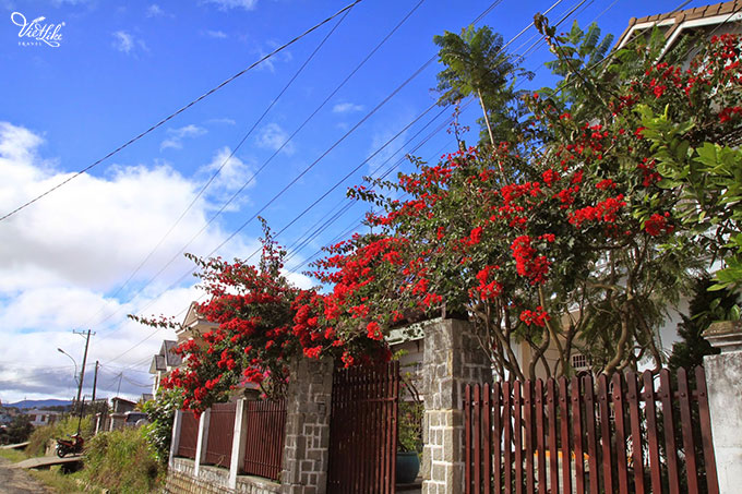 homestay-co-lien-680-2