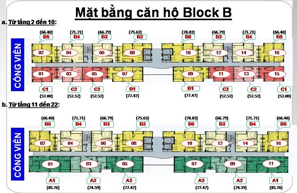 Mặt bằng căn hộ block B dự án Lotus garden