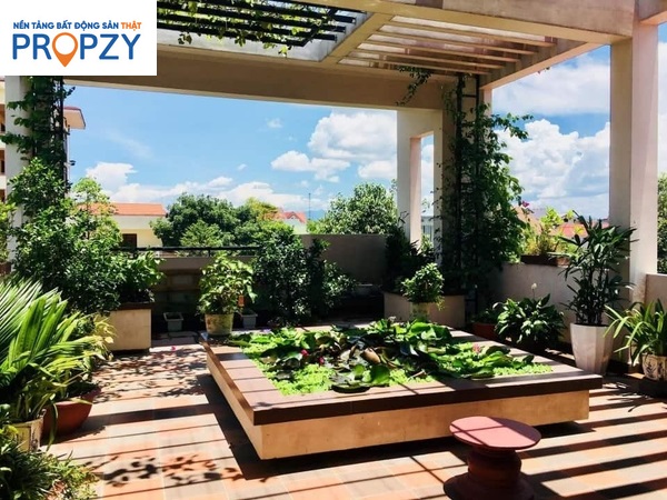 Thiết kế một sân thượng nhiệt đới màu xanh