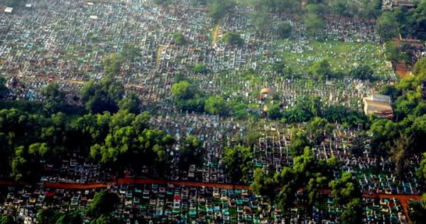 nghia tranh binh hung hoa