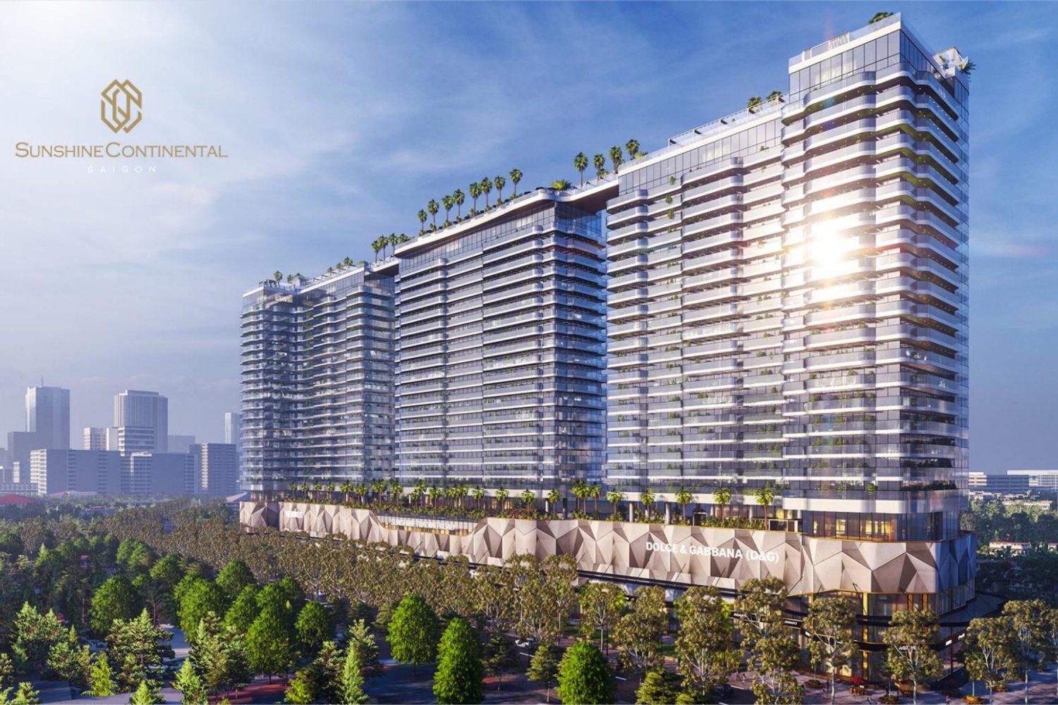 Sunshine Continental featured image