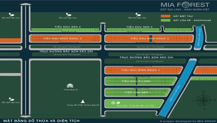 Mặt bằng dự án khu đô thị Mia Forest Bắc Sơn 