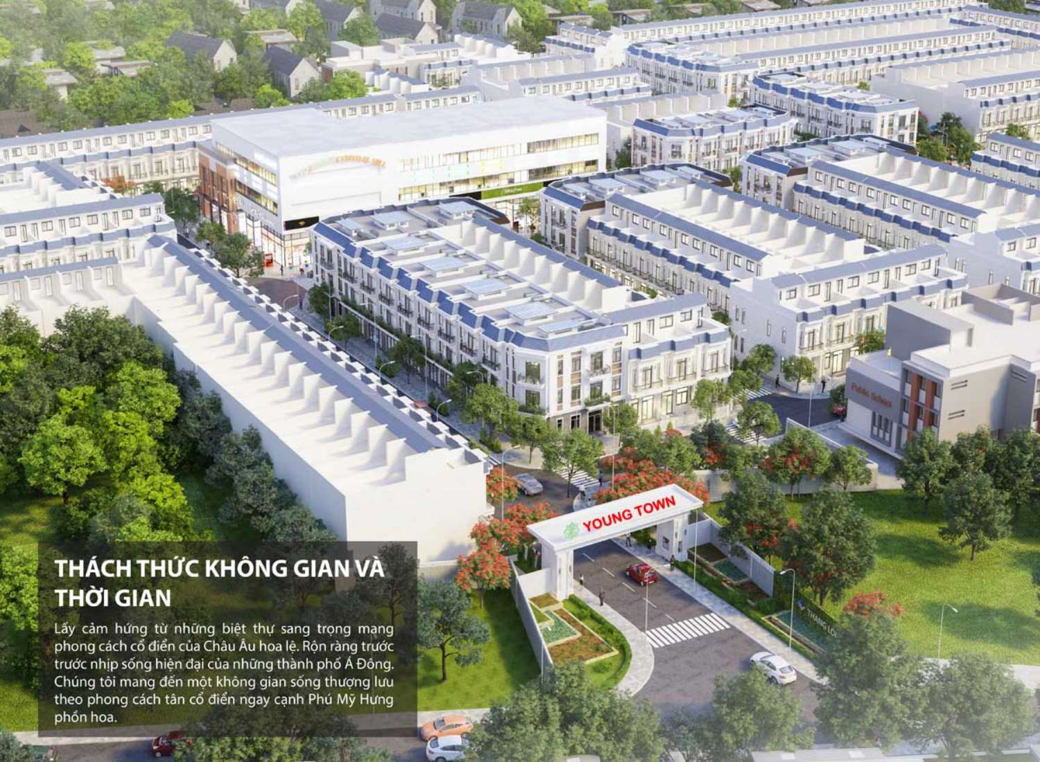 Young Town featured image