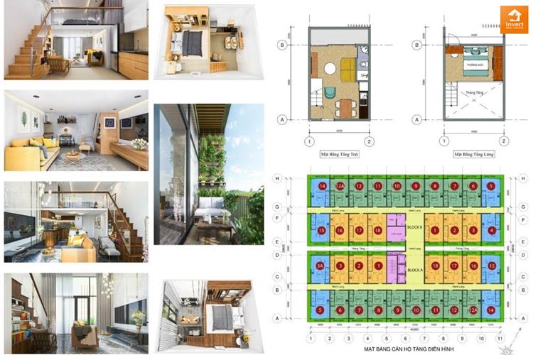 Mặt bằng điển hình dự án căn hộ Cavahome 