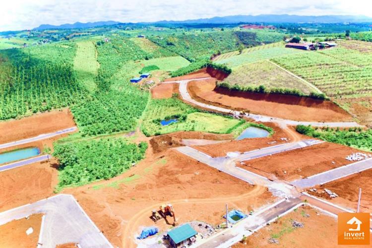 o577-636365 Hình ảnh thực tế dự án đất nền Pine Valley Bảo Lộc