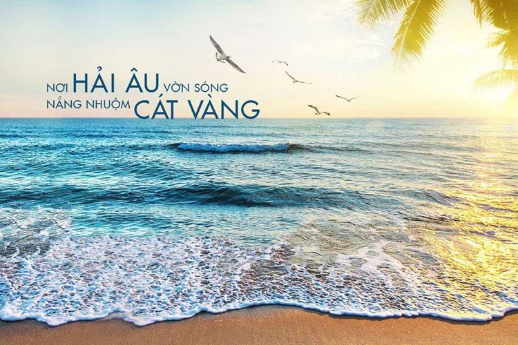 Nơi Hải Âu vờn sóng, nắng nhuộm Cát Vàng