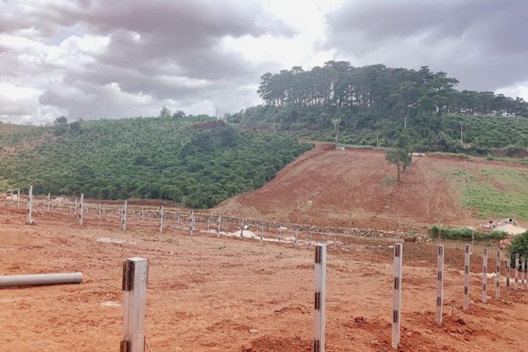 Hình ảnh thực tế dự án Kiwuki Village