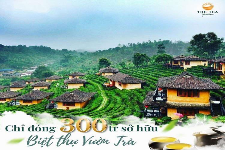 Chỉ đóng 300 triệu sở hữu biệt thự vườn trà The Tea Gardens