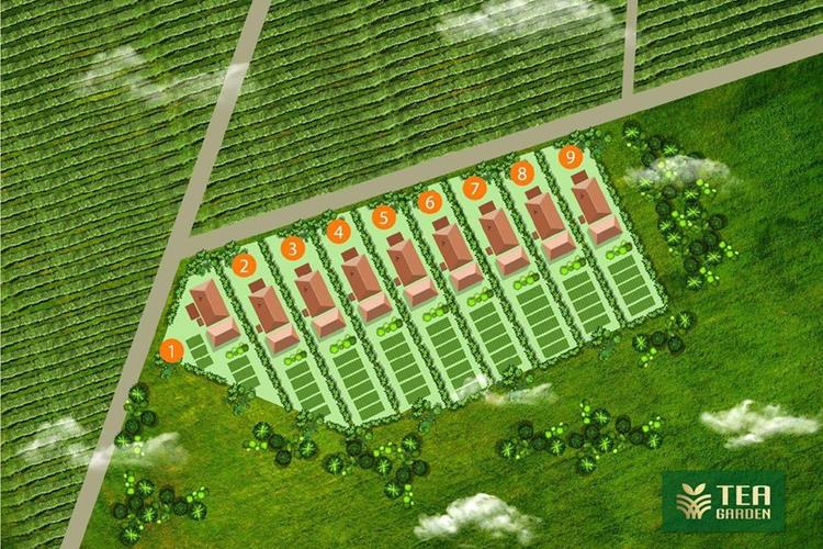 Mặt bằng phân lô dự án biệt thự vườn trà The Tea Gardens