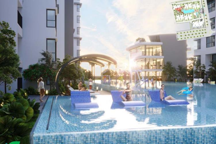 Khu vực hồ bơi dành cho người lớn và trẻ em