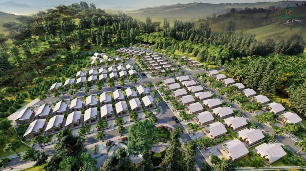 The Tropicana Garden featured image