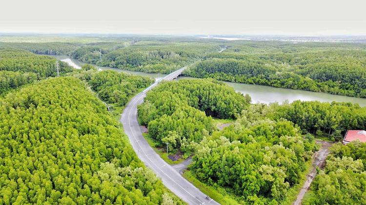 Tiềm năng từ hệ sinh thái xanh của Cần Giờ