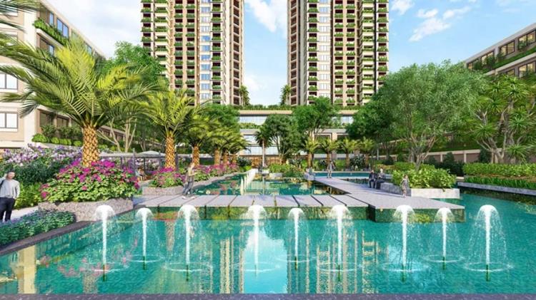 Hồ bơi trung tâm